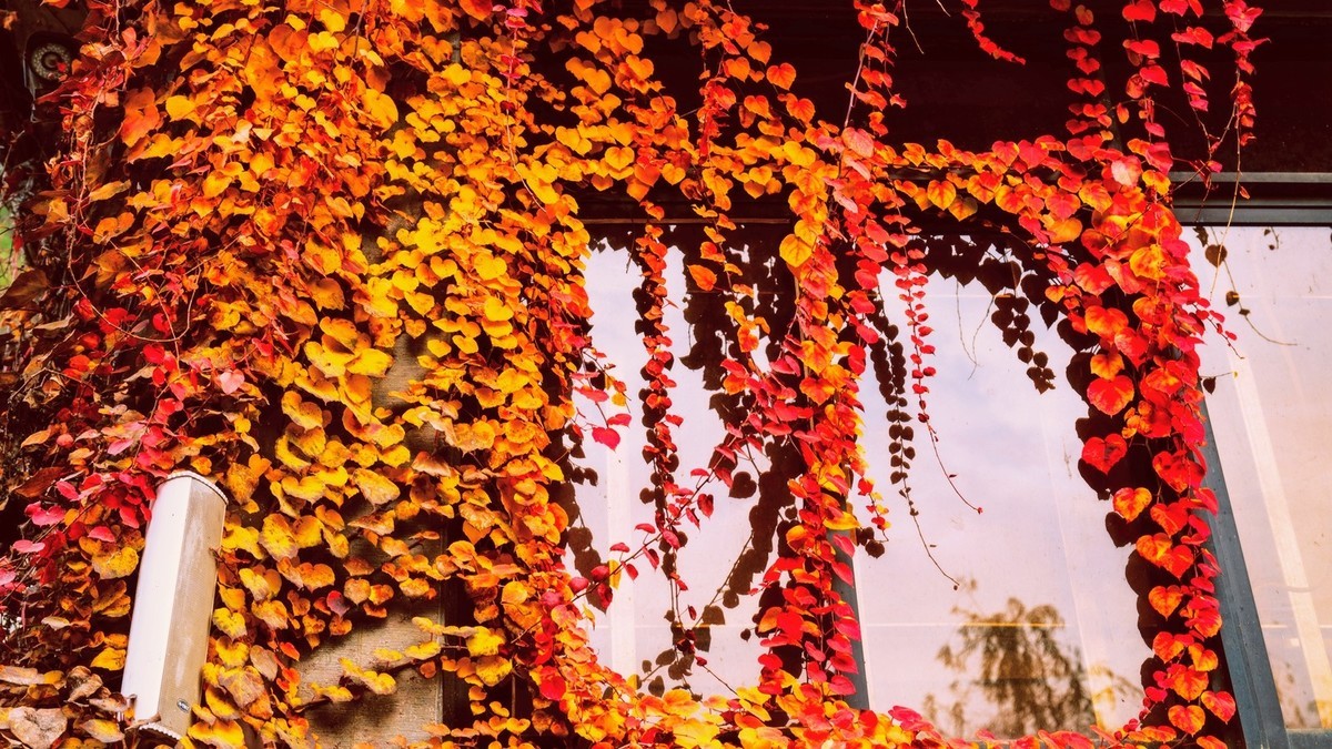 晋陕豫见闻——龙门秋色