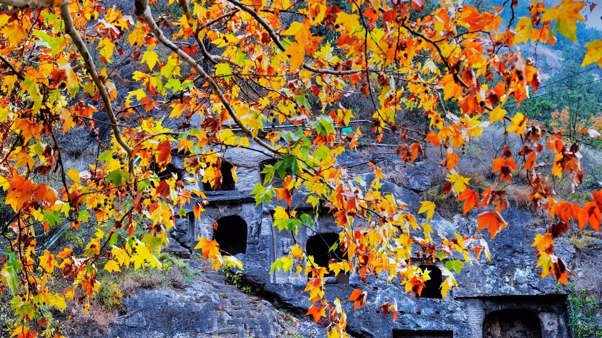 晋陕豫见闻——龙门秋色