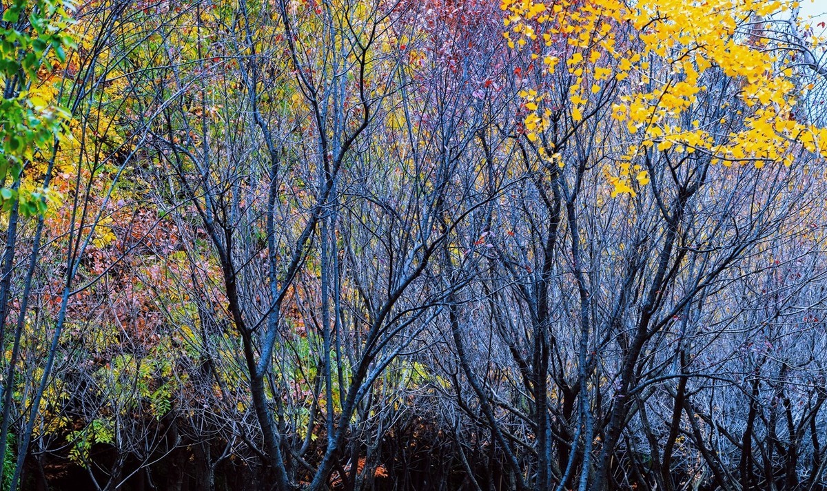 晋陕豫见闻——龙门秋色