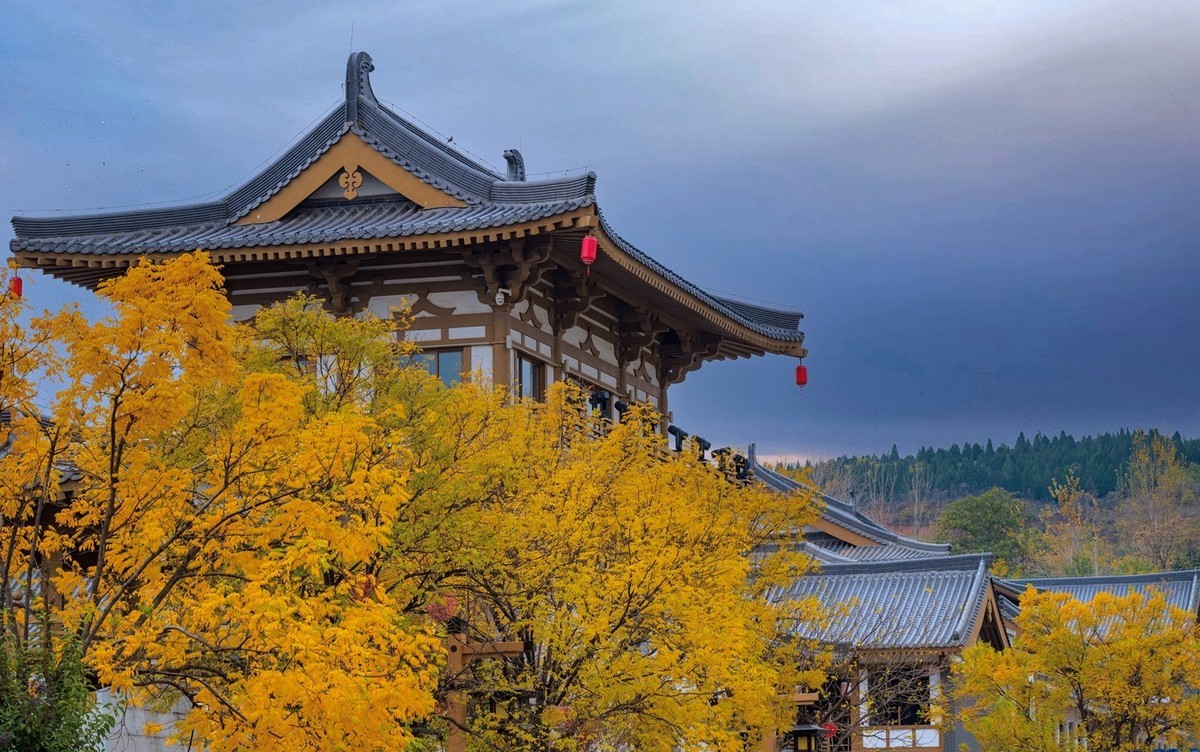 晋陕豫见闻——龙门秋色