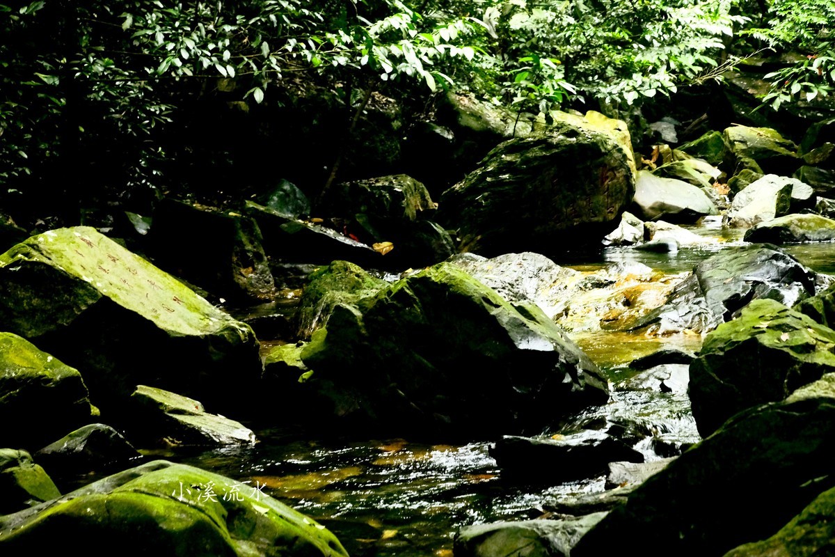 小溪流水随拍（三）