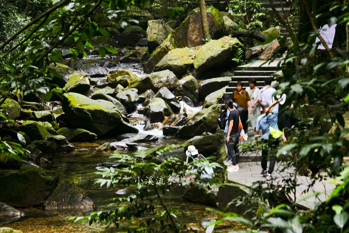 小溪流水随拍（三）