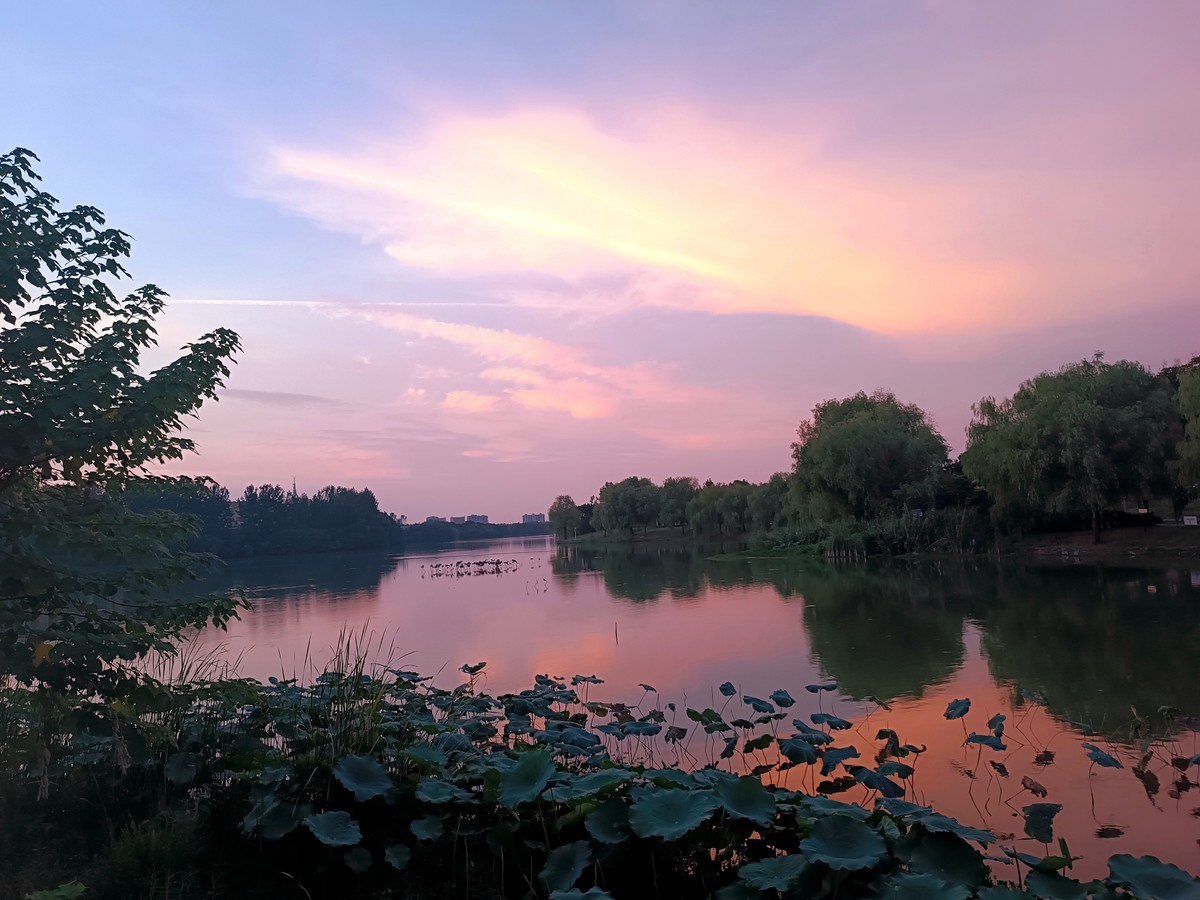 夕照莲花湖