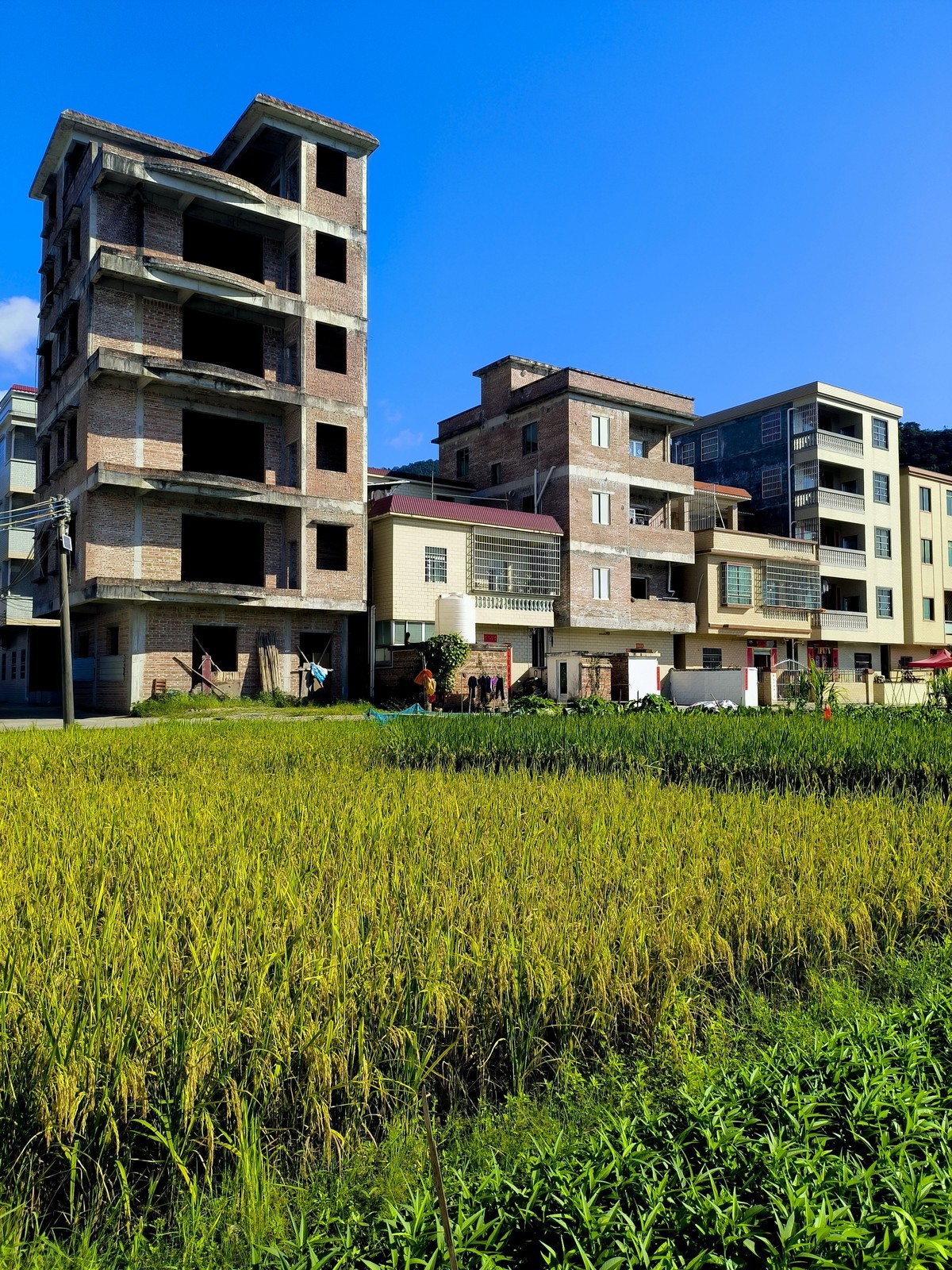 手机随拍红岭村