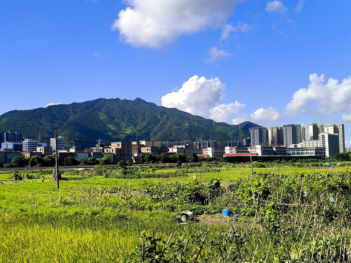 手机随拍红岭村