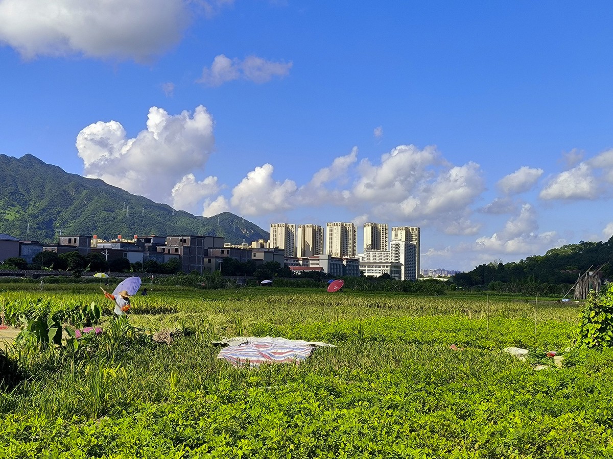 手机随拍红岭村