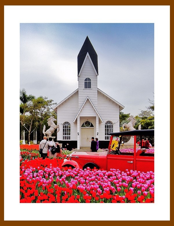 欢度祖国七十五华诞——郁金香盛开祝国庆快乐