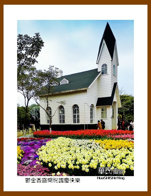 欢度祖国七十五华诞——郁金香盛开祝国庆快乐