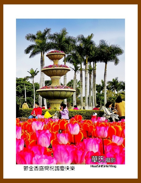 欢度祖国七十五华诞——郁金香盛开祝国庆快乐