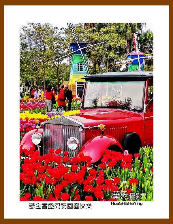 欢度祖国七十五华诞——郁金香盛开祝国庆快乐