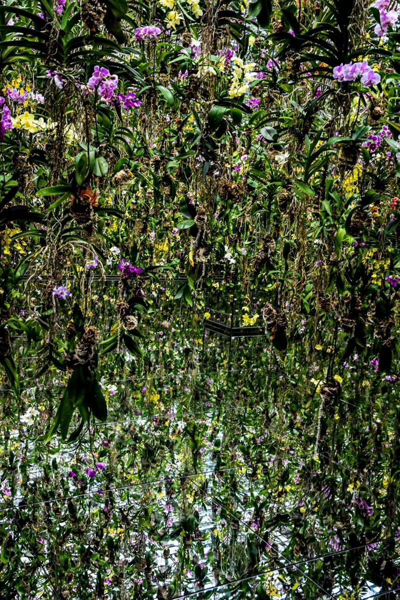 浅草之“秋叶原”（日本）