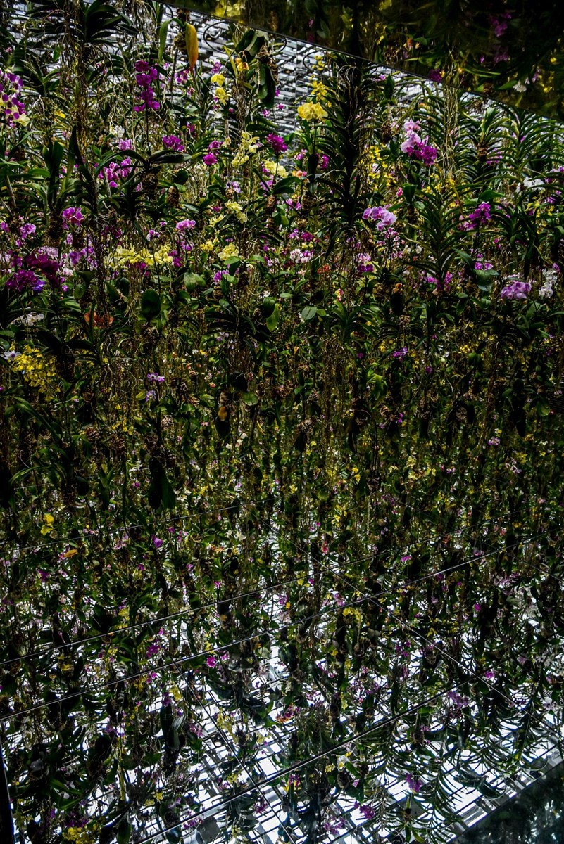 浅草之“秋叶原”（日本）