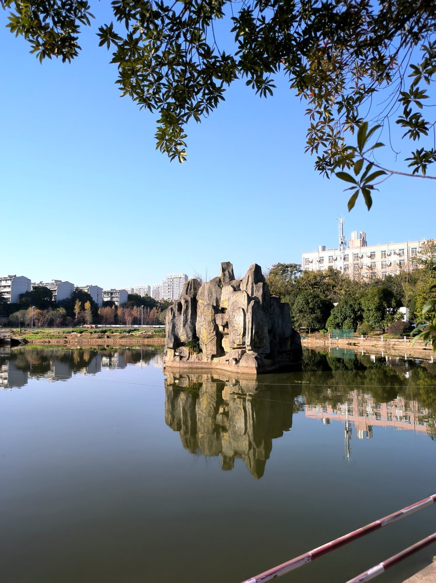 漫步星城 走街串巷（587）农大逸苑湖