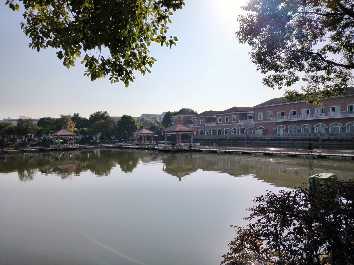 漫步星城 走街串巷（587）农大逸苑湖