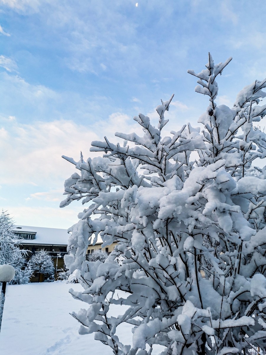 银色视野（瑞士巴塞尔）