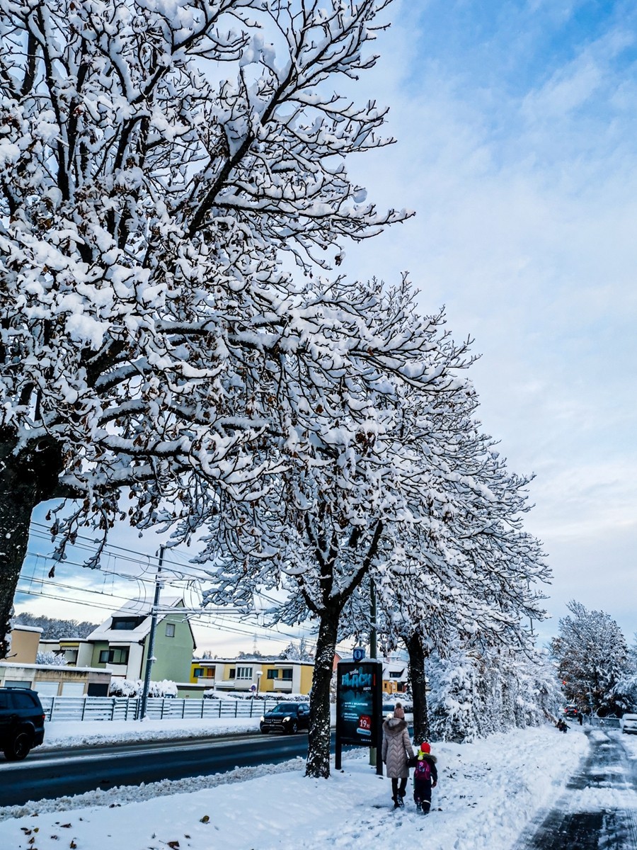 银色视野（瑞士巴塞尔）