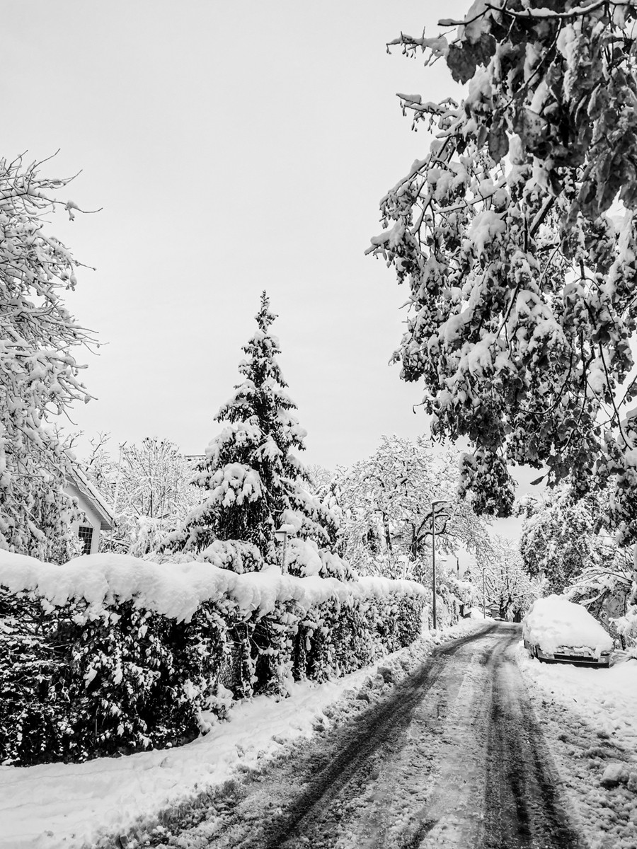 银色视野（瑞士巴塞尔）