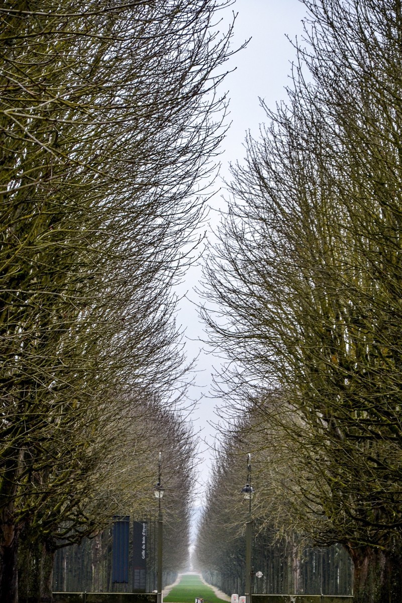 皇家行宫--”枫丹白露宫“（巴黎）