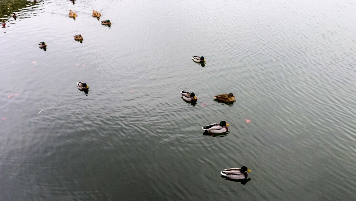 皇家行宫--”枫丹白露宫“（巴黎）