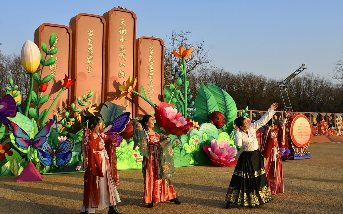 几个大妈的自发性表演