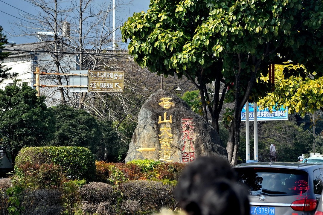 云南大理三月街  周鸣天