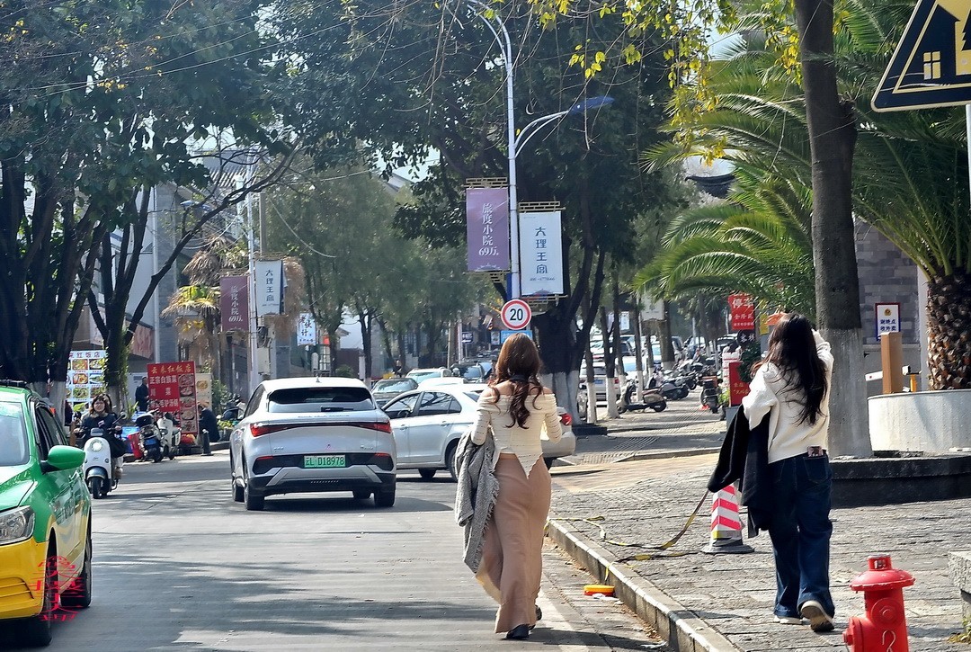 云南大理三月街  周鸣天