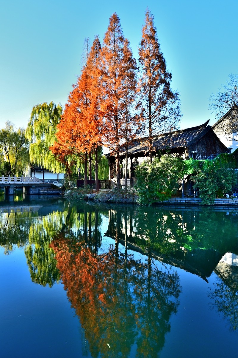 【视觉光影】明 湖 秋 色（4）