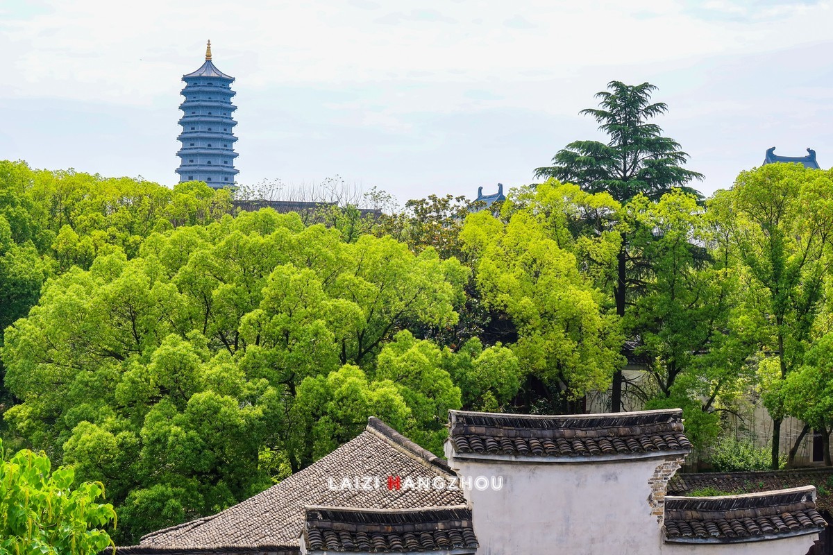 濮院时尚小镇（1）