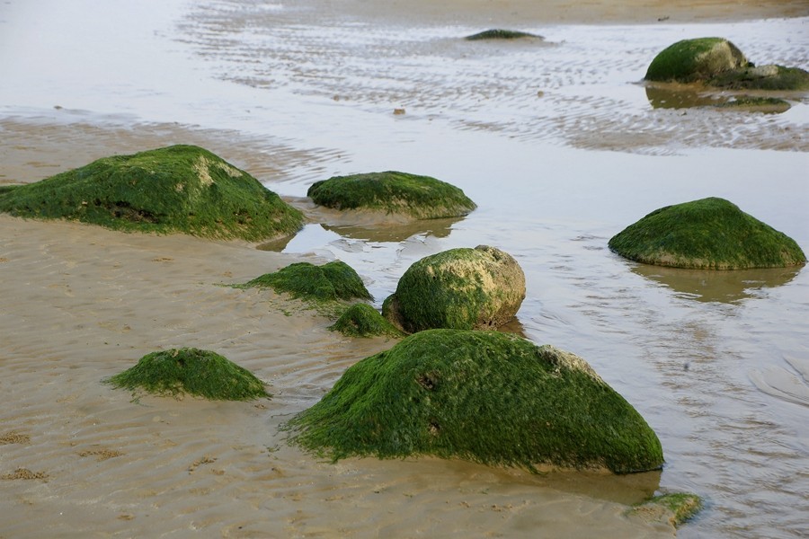 《不老松：忆海南游记》海南解放公园景区海边！(大海、浪花、蕉石)