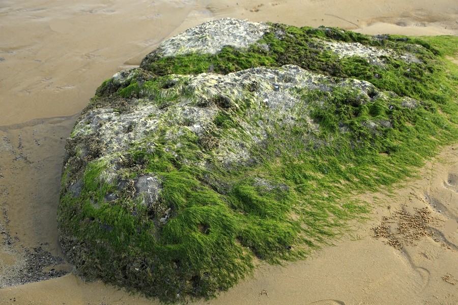 《不老松：忆海南游记》海南解放公园景区海边！(大海、浪花、蕉石)