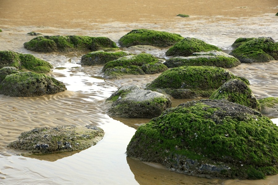 《不老松：忆海南游记》海南解放公园景区海边！(大海、浪花、蕉石)