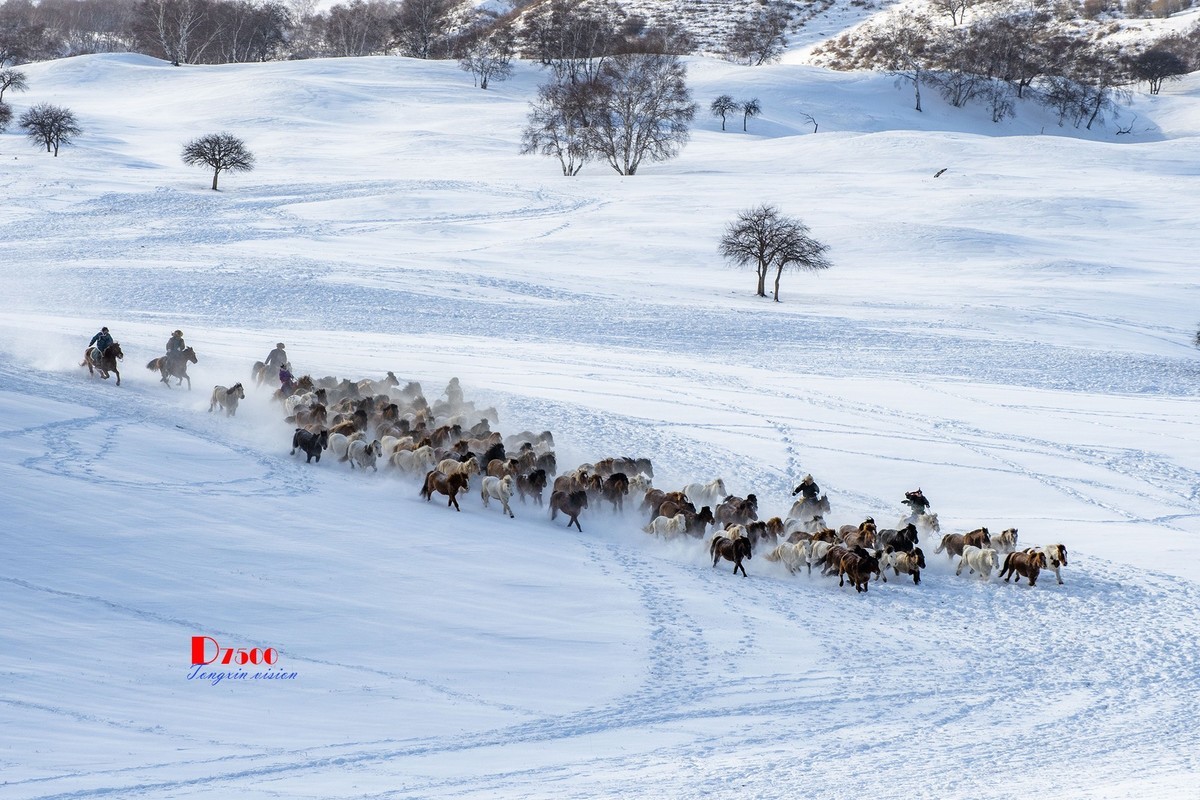 策马奔腾（68）
