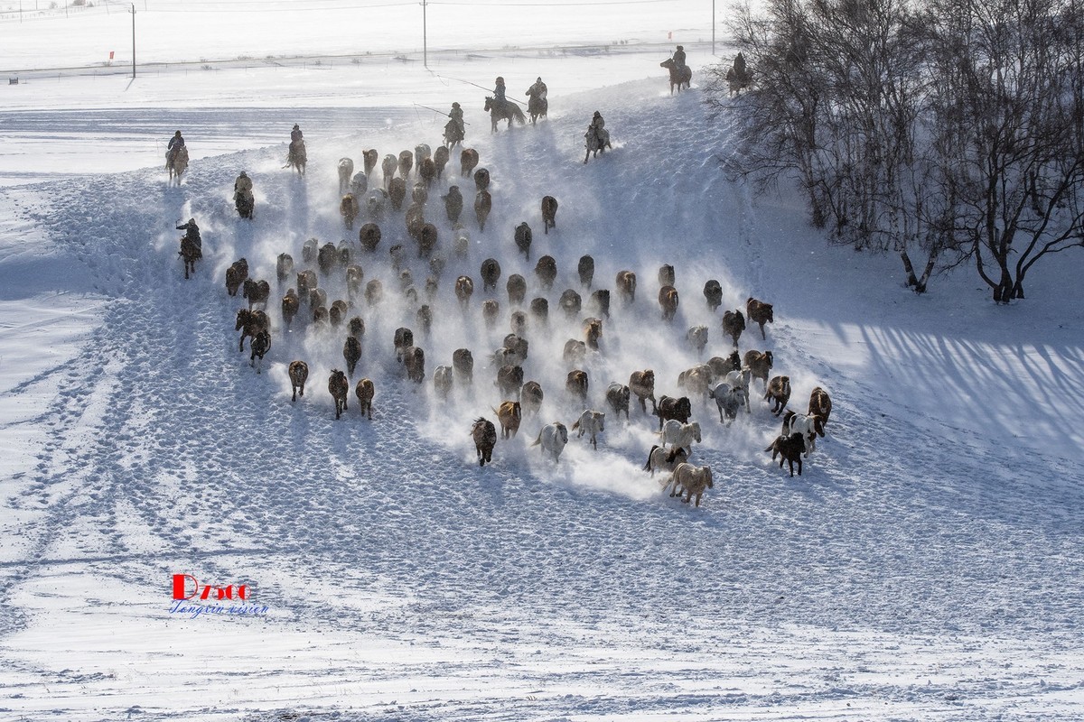 策马奔腾（68）