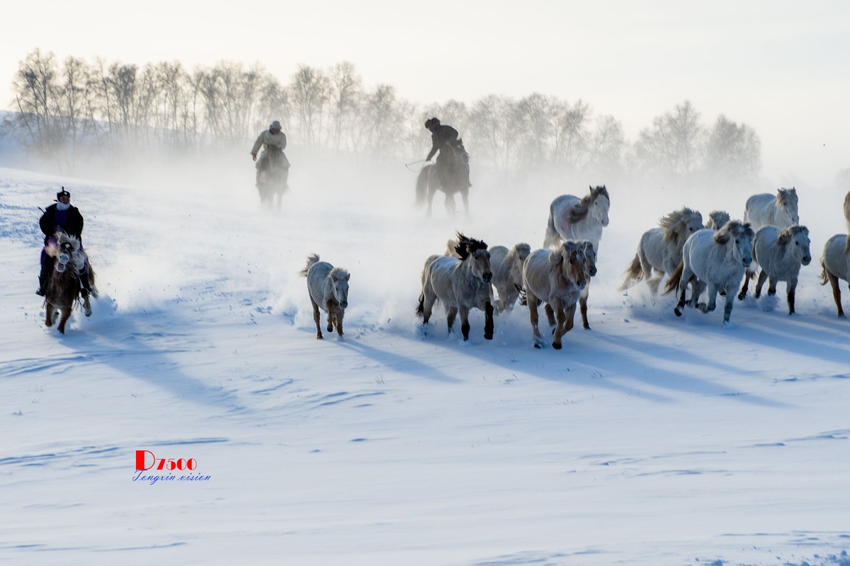 策马奔腾（68）