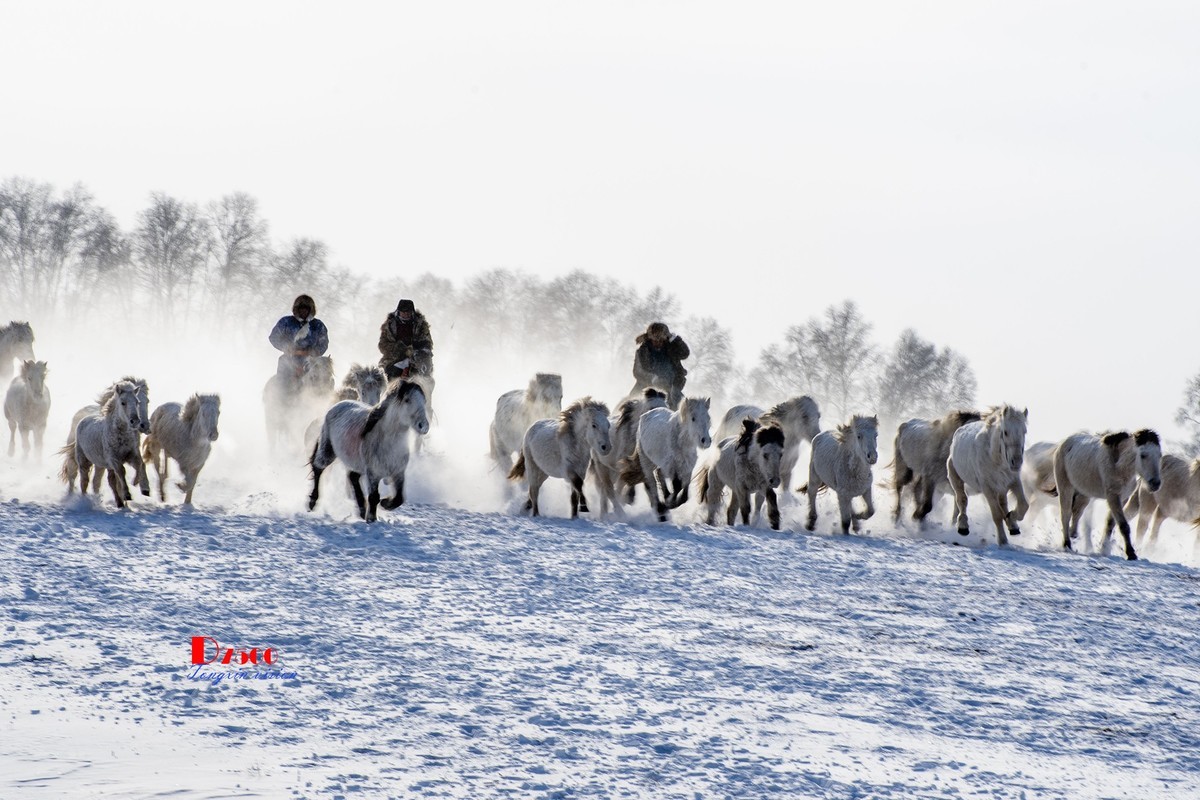 策马奔腾（68）