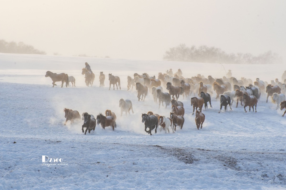 策马奔腾（68）