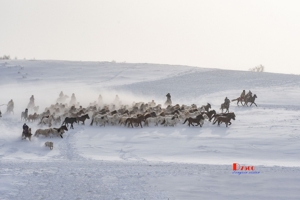 策马奔腾（68）