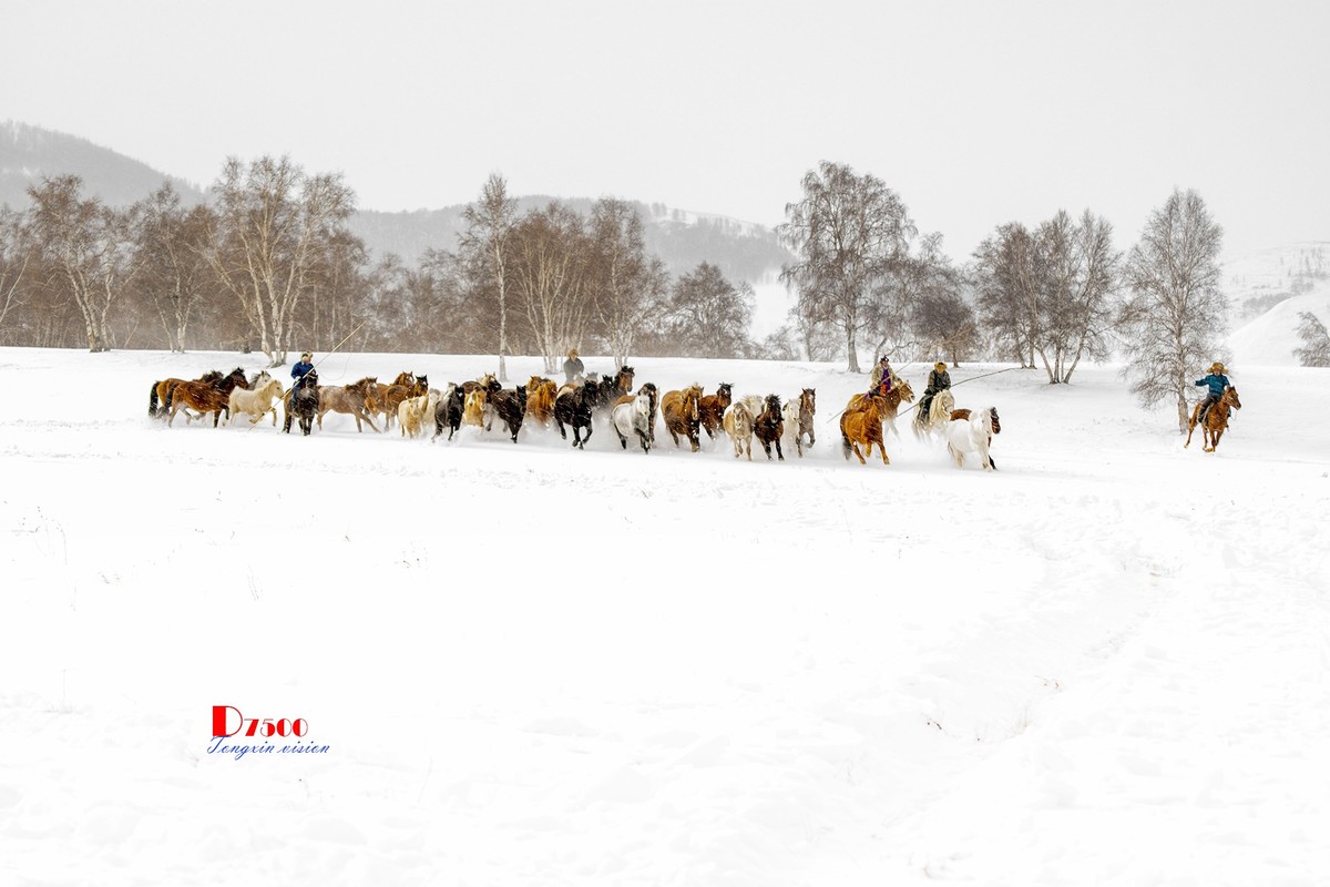 策马奔腾（68）
