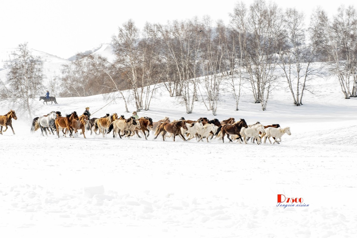 策马奔腾（68）