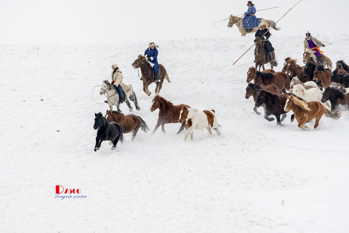 策马奔腾（68）