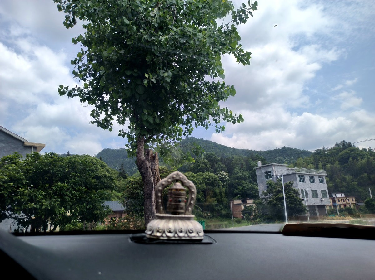 2025春夏之季 湘赣边（19）袁州区的小山窝