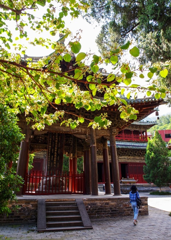 四川绵阳--平武报恩寺【4】