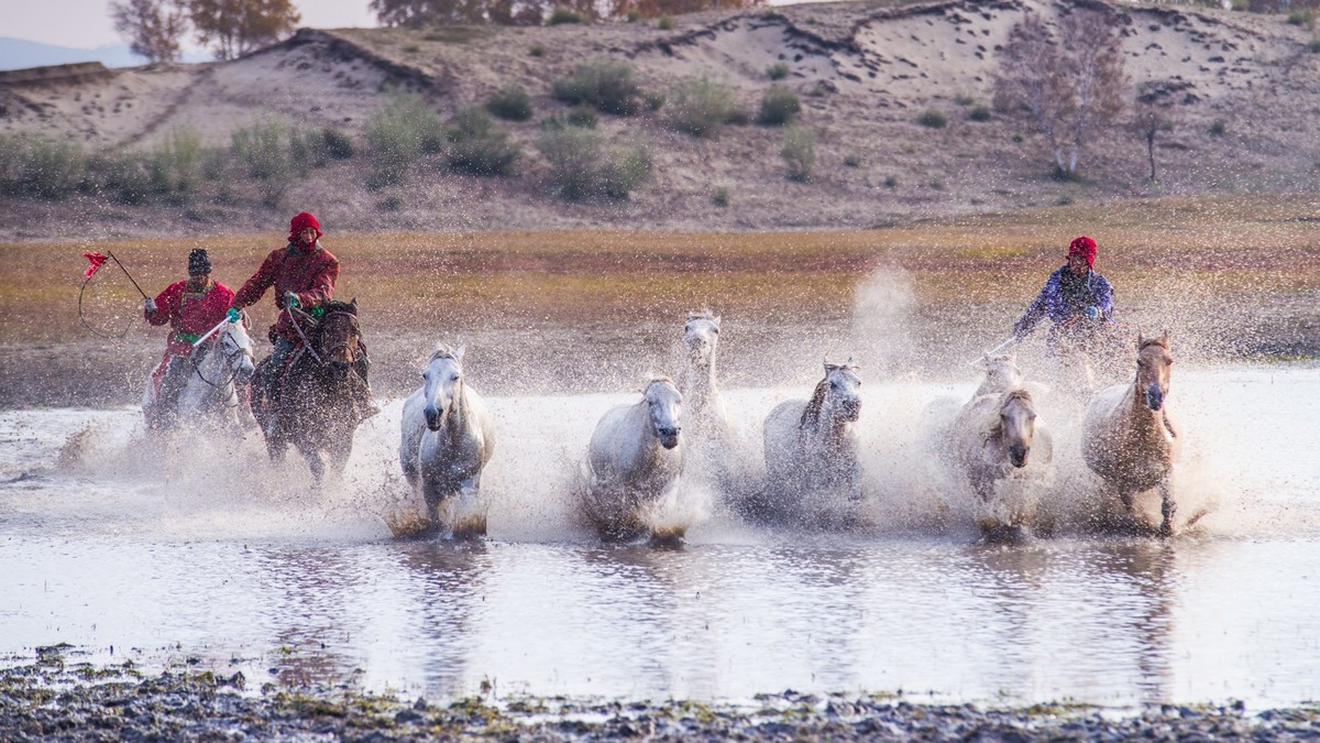 秋天的克什克腾旗------疾马飞浪（二）