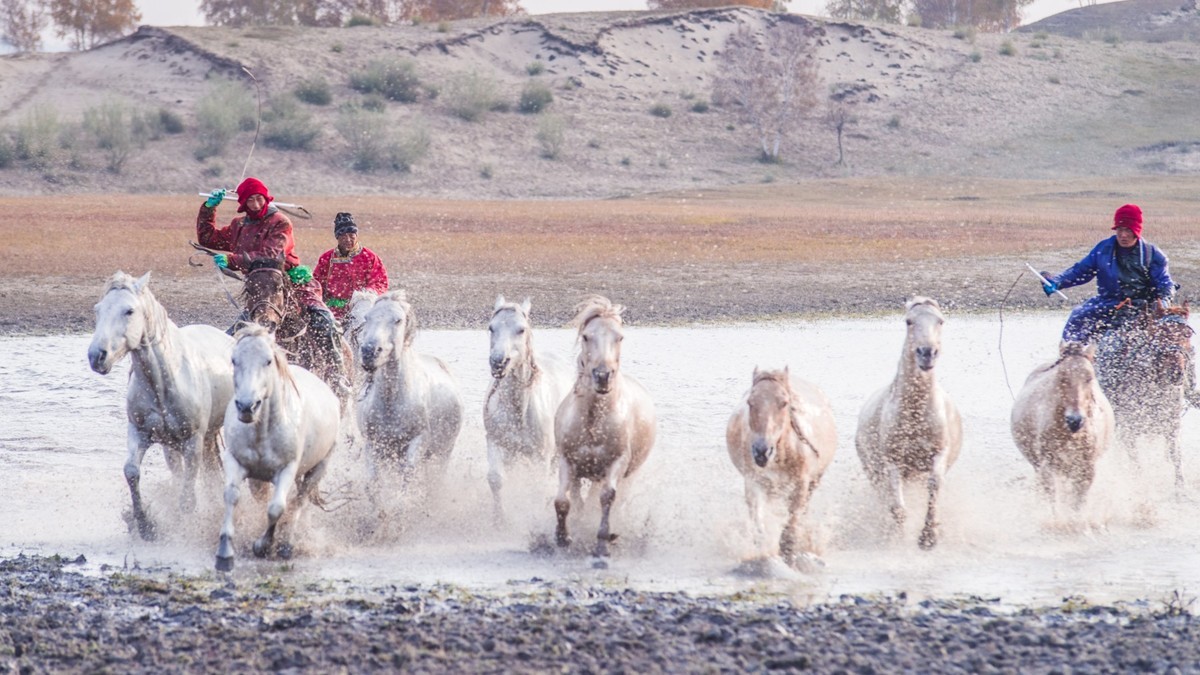 秋天的克什克腾旗------疾马飞浪（二）