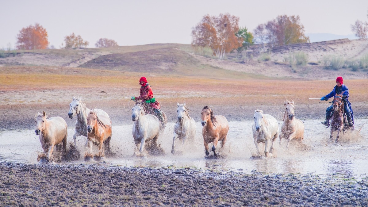秋天的克什克腾旗------疾马飞浪（二）