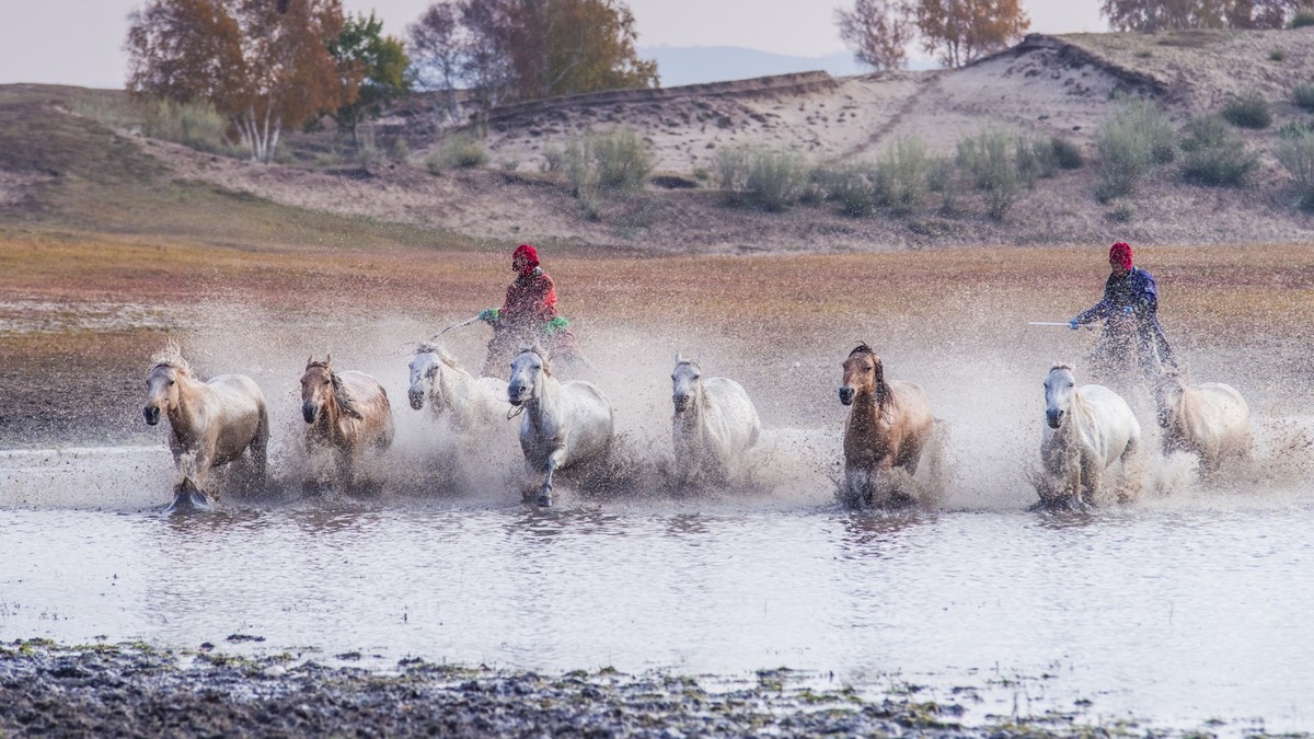 秋天的克什克腾旗------疾马飞浪（二）
