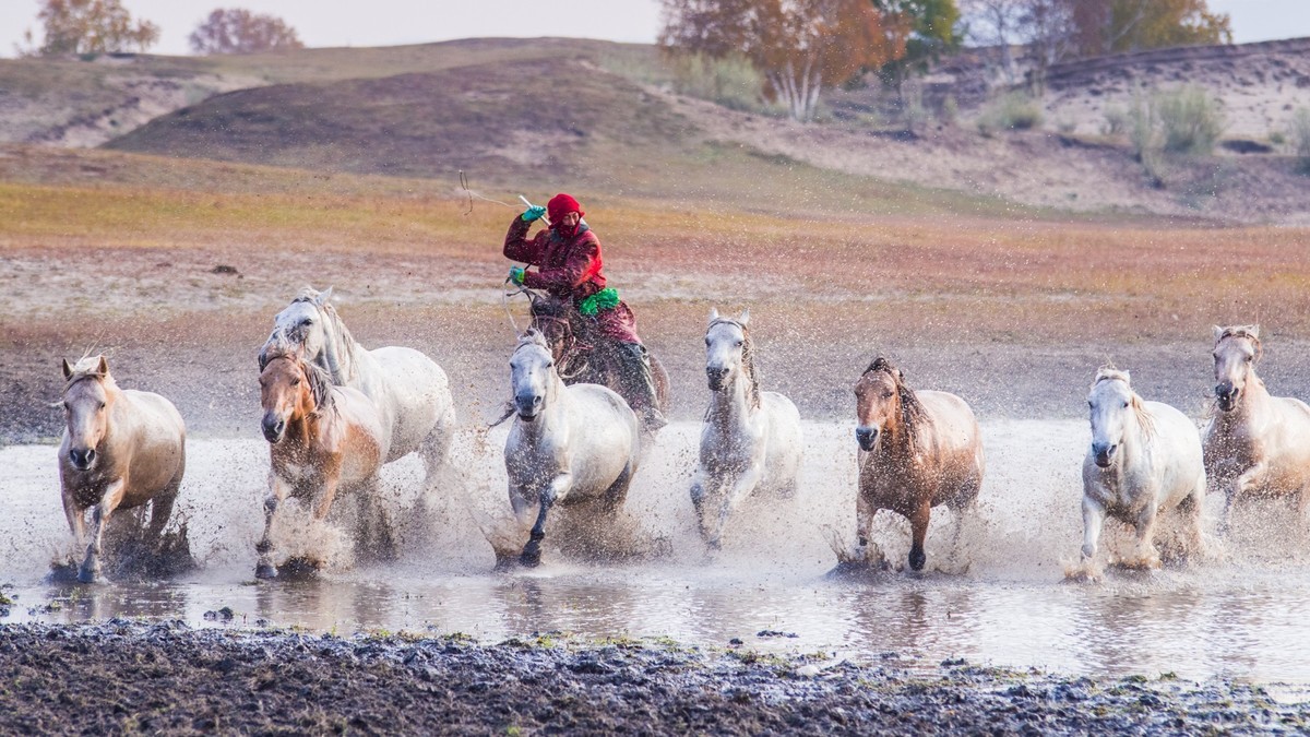 秋天的克什克腾旗------疾马飞浪（二）