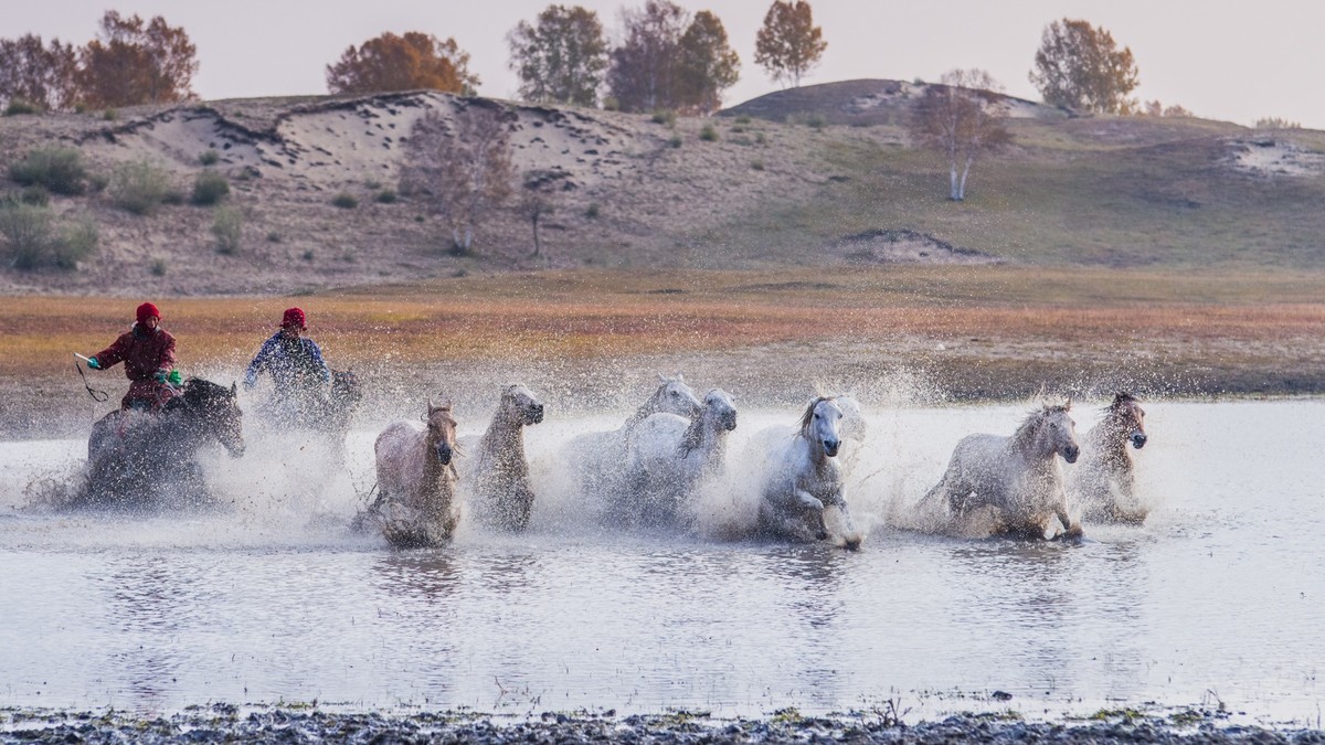 秋天的克什克腾旗------疾马飞浪（二）