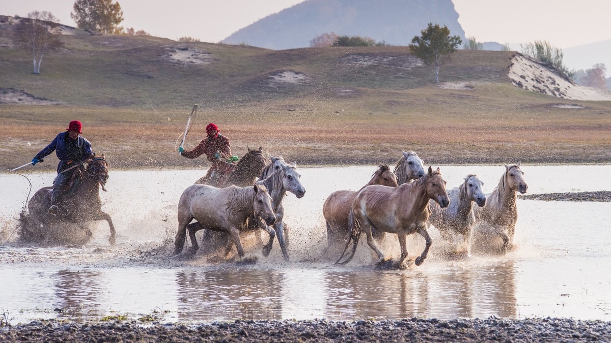 秋天的克什克腾旗------疾马飞浪（二）
