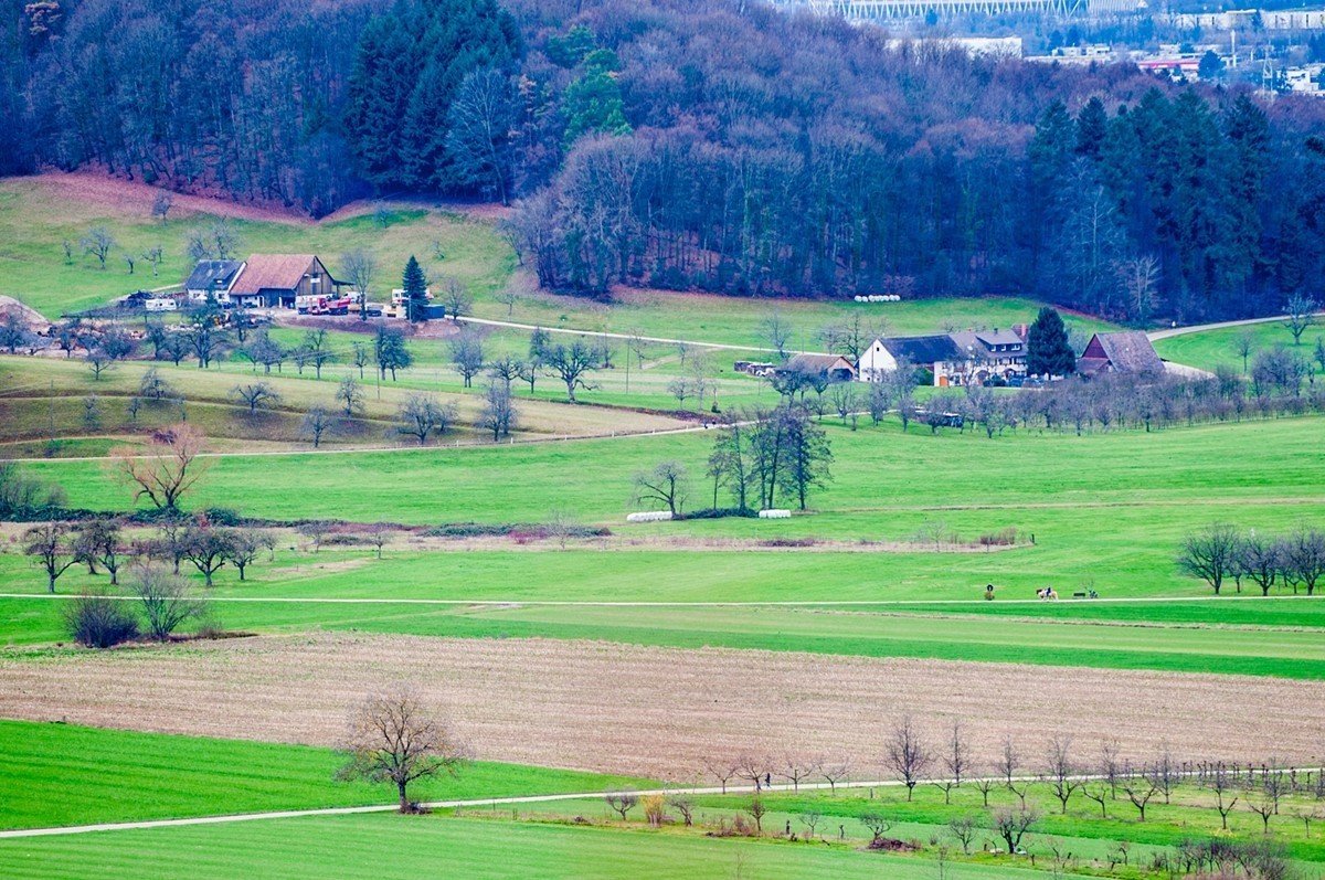 冬摄黑森林（南德）